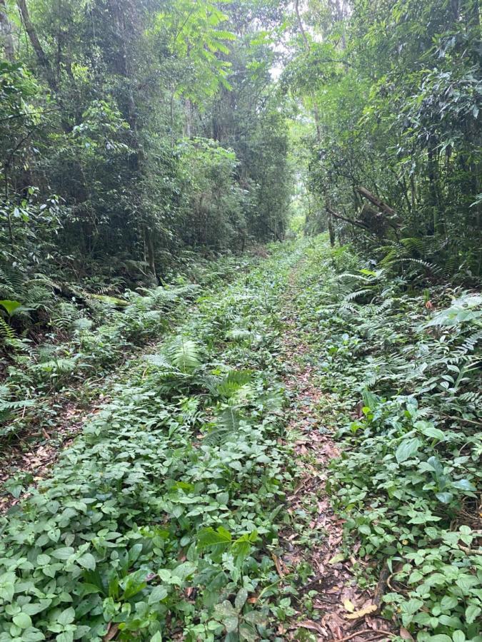 Reserva La Mision Mocona - Solo Adultos Saltos del Moconá Kültér fotó
