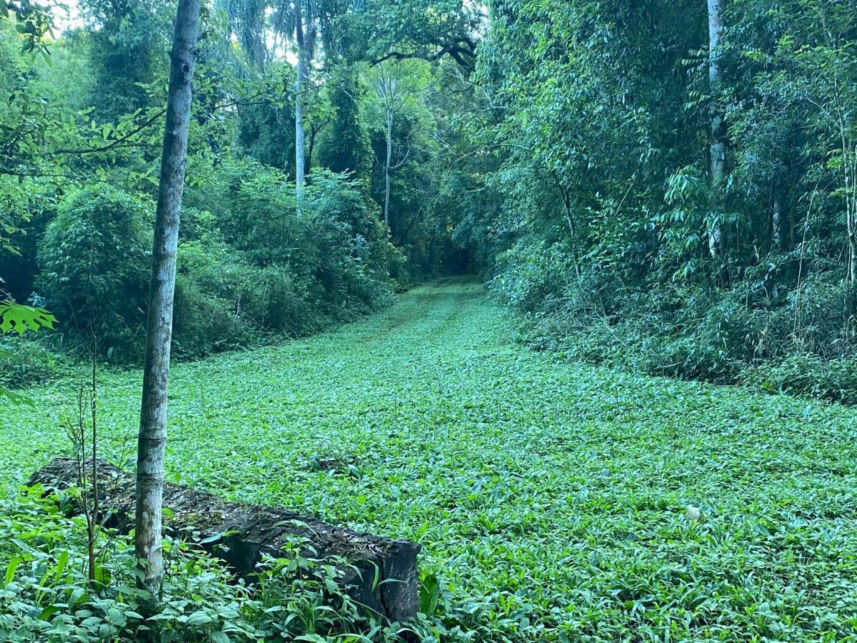Reserva La Mision Mocona - Solo Adultos Saltos del Moconá Kültér fotó
